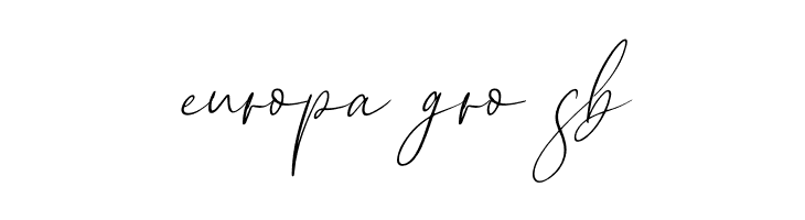 New York Signature Italic  Free Fonts Download