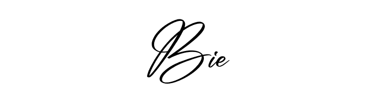 Amsterdam Billionaire  Free Fonts Download