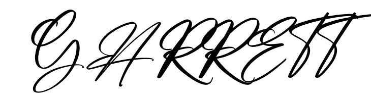 Amsterdam Billionaire  Free Fonts Download