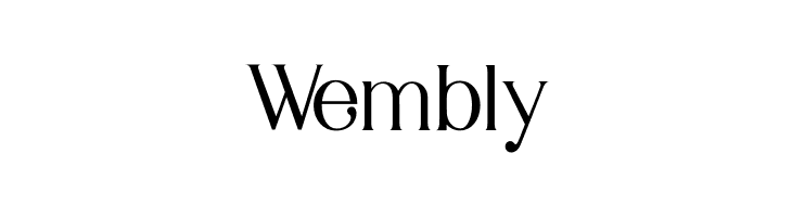 Braga  Free Fonts Download