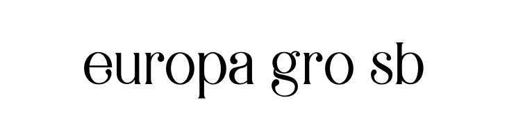 Braga  Free Fonts Download