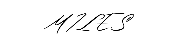 Baverley Astone DEMO  Free Fonts Download