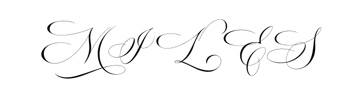 Estarossa DEMO  Free Fonts Download