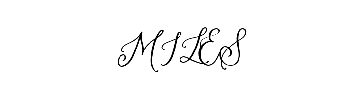 Amerta Misty DEMO Regular  Free Fonts Download