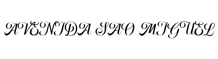 HougbonScriptDEMO  Free Fonts Download