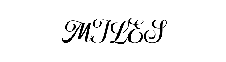 HougbonScriptDEMO  Free Fonts Download