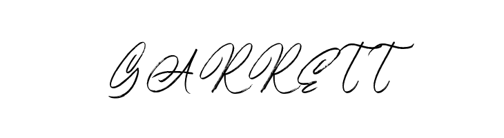 AmeliaBrightDemo  Free Fonts Download