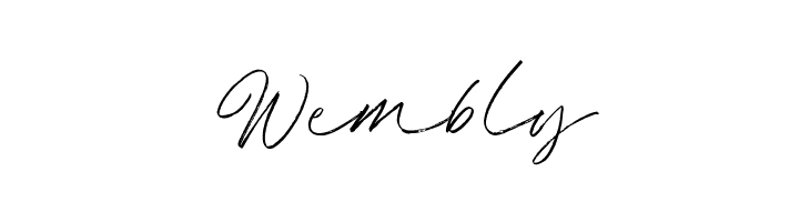 AmeliaBrightDemo  Free Fonts Download