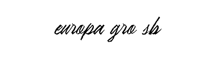 RanshellDEMO  Free Fonts Download