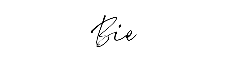 AnnetteBradfordDEMO  Free Fonts Download