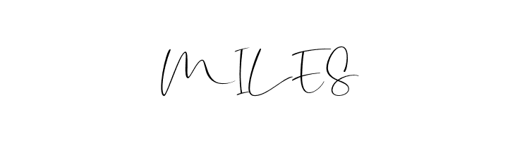 AmilliaRocheteDemo  Free Fonts Download