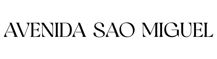 BinerkaDemo  Free Fonts Download