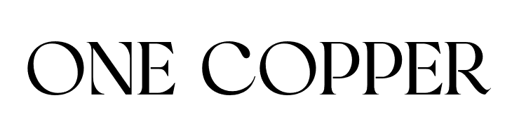 BinerkaDemo  Free Fonts Download