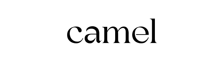 BinerkaDemo  Free Fonts Download