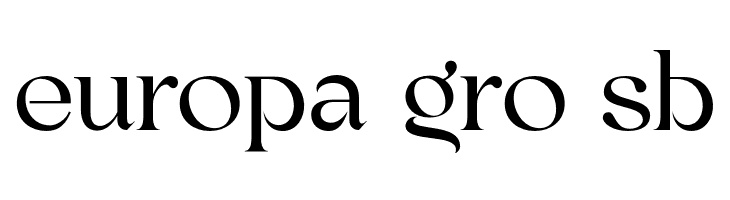 BinerkaDemo  Free Fonts Download