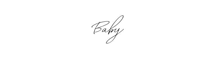 WilliamLetterSignatureDEMO  Free Fonts Download