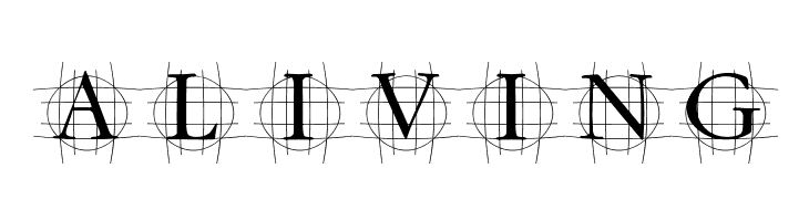 GrafRoundish Medium  Free Fonts Download