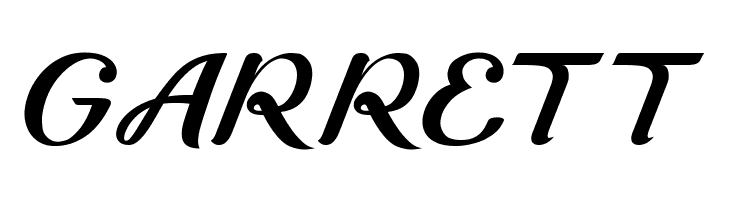 Guyfawkes  Free Fonts Download