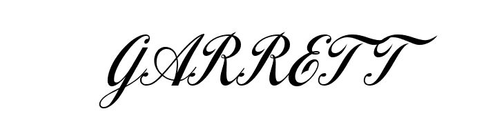 LT Drink Medium  Free Fonts Download