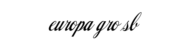 LT Drink Medium  Free Fonts Download