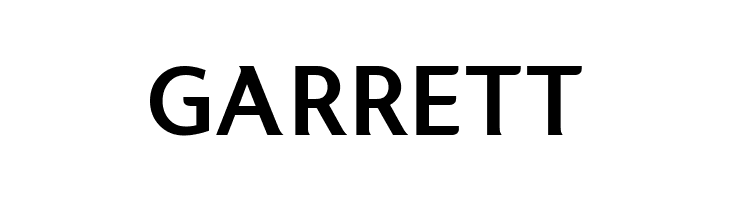 LT Internet Bold  Free Fonts Download