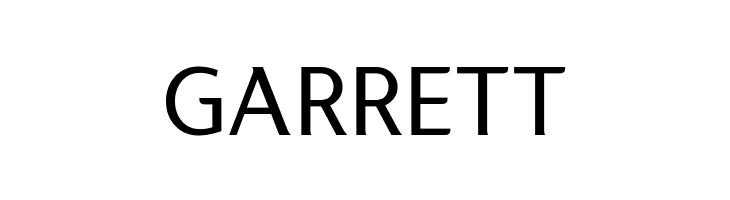 LT Internet  Free Fonts Download