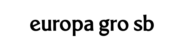 LTMarathon-Bold  Free Fonts Download