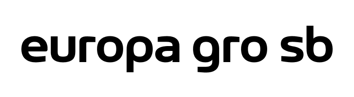 LT Wave Bold  Free Fonts Download