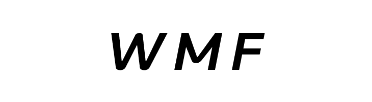 LT Wave Bold Italic  Free Fonts Download