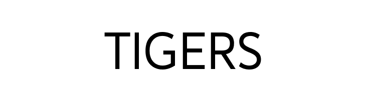 Avancement 2020  Free Fonts Download