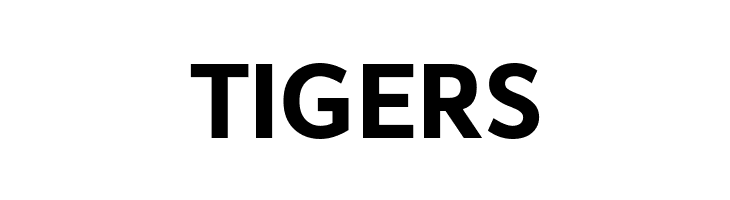 Avancement 2020 Bold  Free Fonts Download