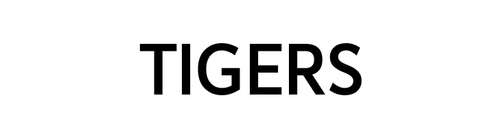 Avancement 2020 Medium  Free Fonts Download