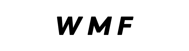 LT Asus Heavy Italic  Free Fonts Download