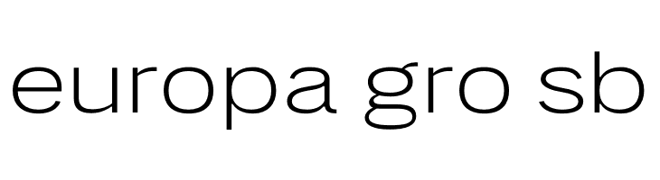 LT Amber Wide Extra-expanded Light  Free Fonts Download