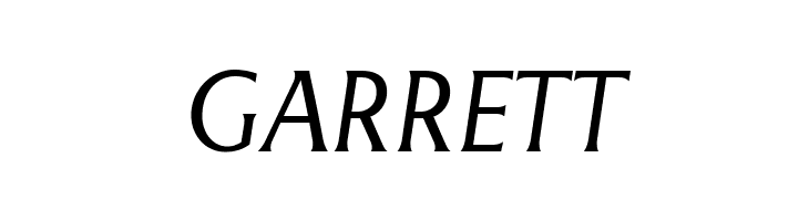 LT Museum Light Italic  Free Fonts Download