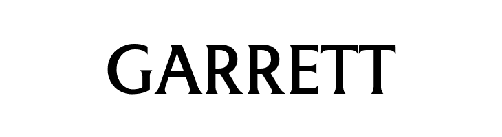 LT Museum Medium  Free Fonts Download