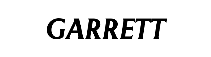 LT Museum Bold Italic  Free Fonts Download