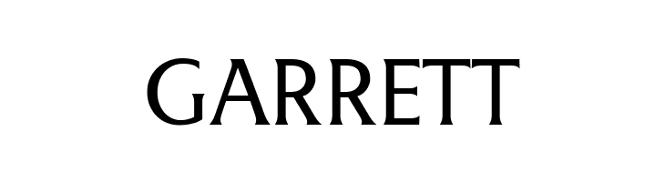 LT Museum Light  Free Fonts Download