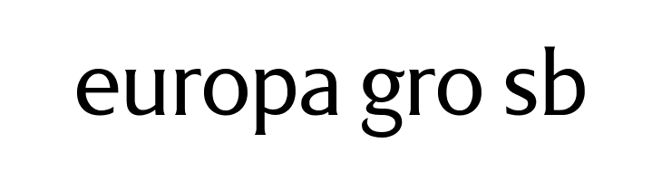 LT Museum Light  Free Fonts Download