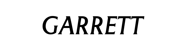 LT Museum Medium Italic  Free Fonts Download