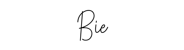 Rotterdam Signature  Free Fonts Download