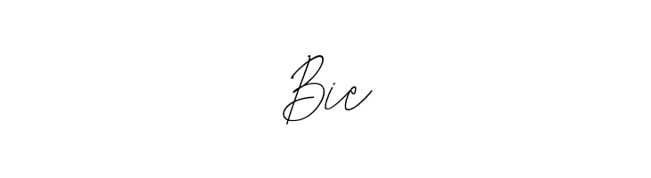 Photomark Signature  Free Fonts Download