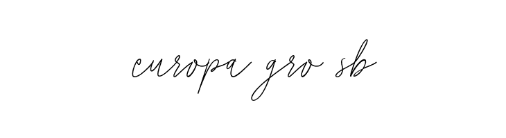 Photomark Signature  Free Fonts Download