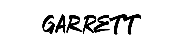 The Bregym  Free Fonts Download