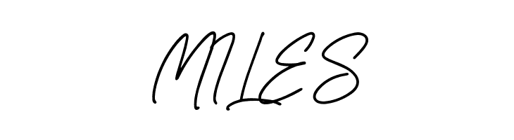 Bailiry [Demo]  Free Fonts Download