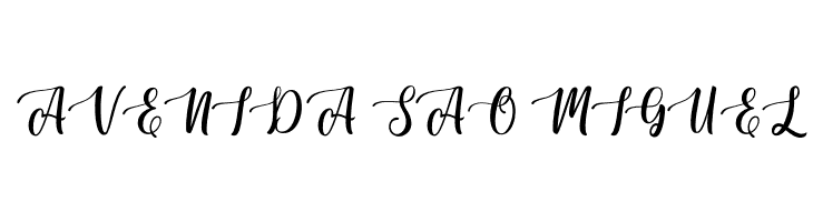 Sunkiss Script  Free Fonts Download