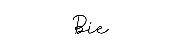 Reysha  Free Fonts Download