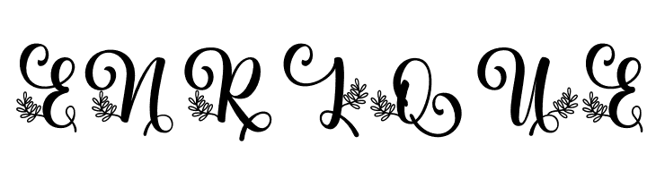 Albanian Olive Monogram 2  Free Fonts Download