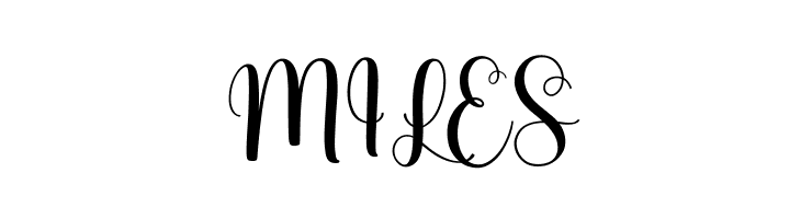 Bellarose DEMO  Free Fonts Download