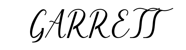 Salvyna  Free Fonts Download